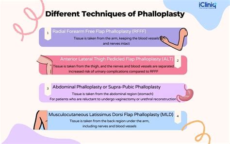 phalloplasty results 2018|Phalloplasty: techniques and outcomes .